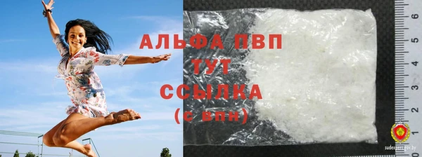 прущие грибы Богданович