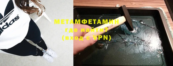 прущие грибы Богданович