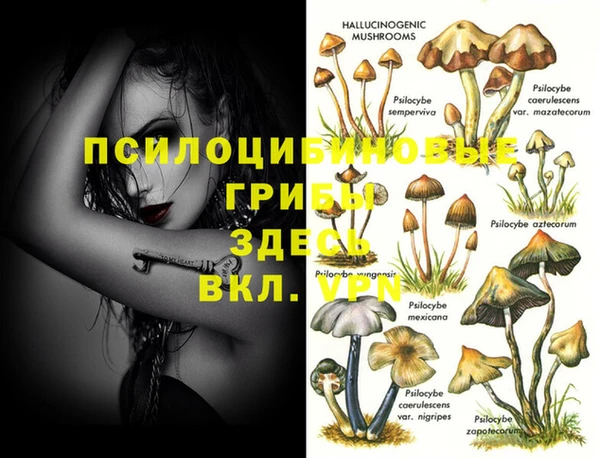 марки nbome Богородицк