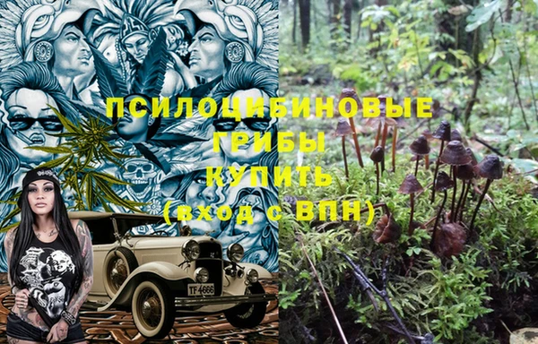 марки nbome Богородицк