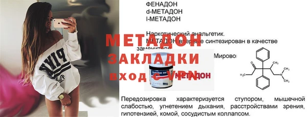 прущие грибы Богданович