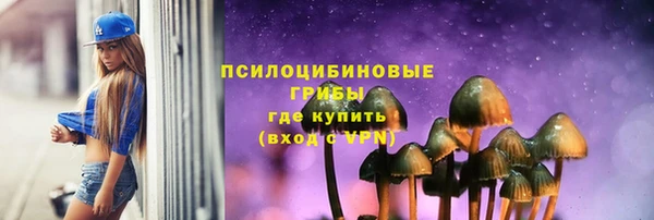 прущие грибы Богданович