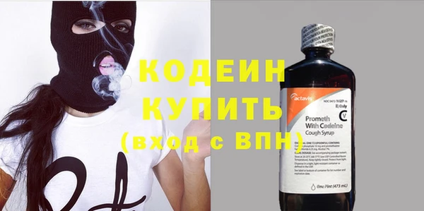 прущие грибы Богданович