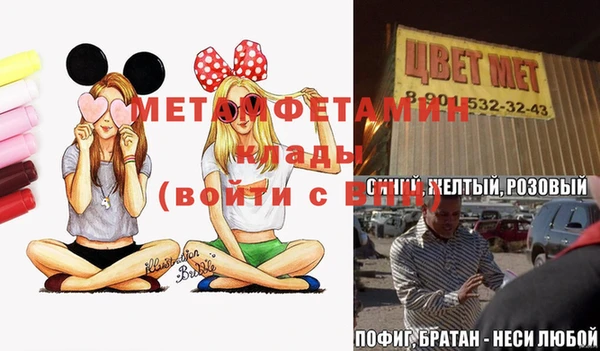 прущие грибы Богданович