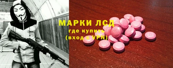 прущие грибы Богданович