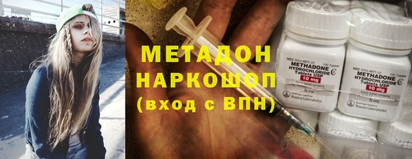 прущие грибы Богданович